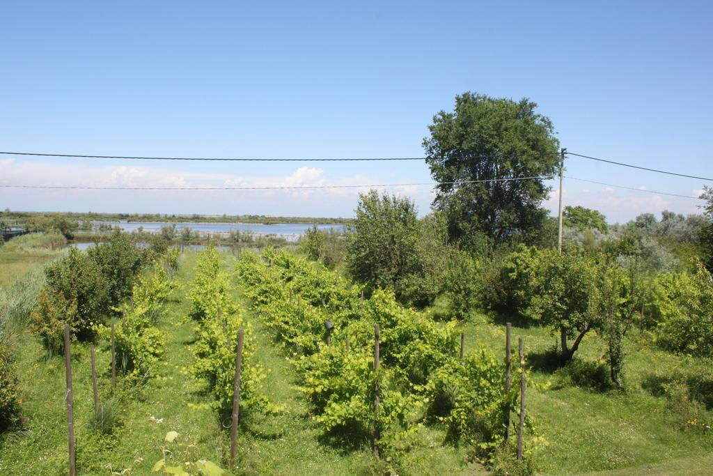 Tenuta Lio Maggiore Lido di Jesolo Buitenkant foto