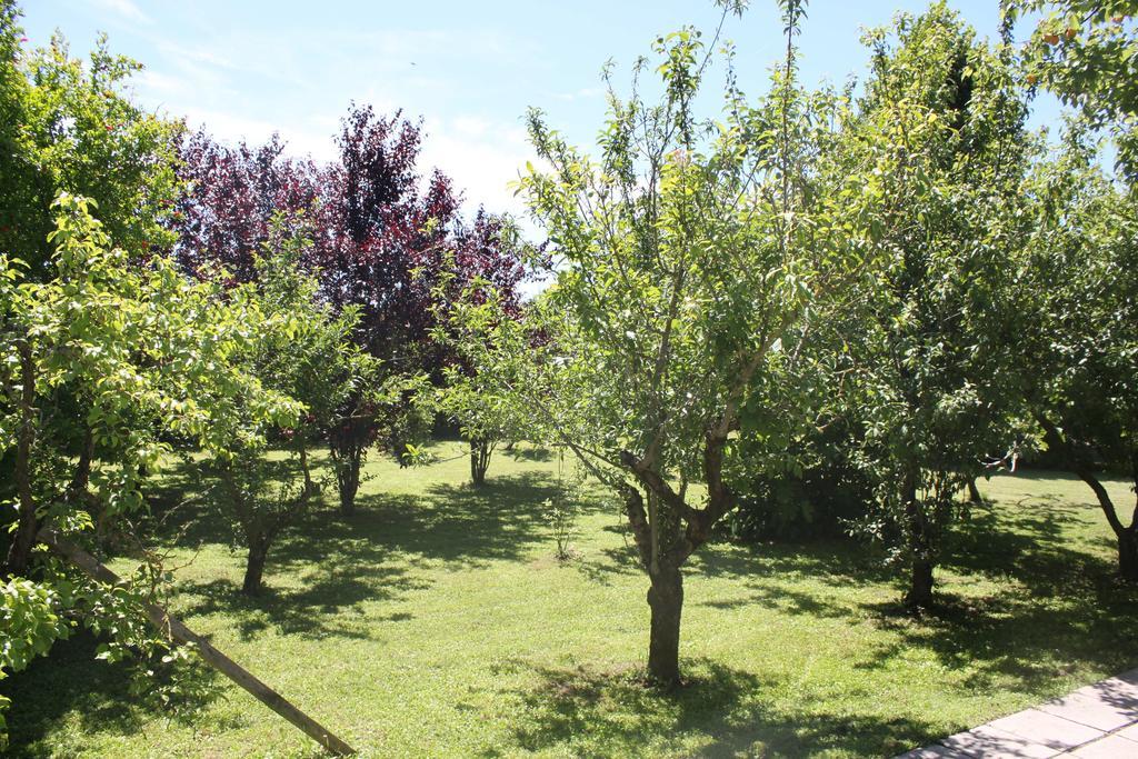 Tenuta Lio Maggiore Lido di Jesolo Buitenkant foto