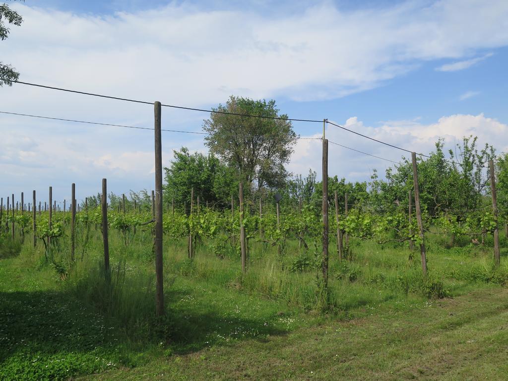 Tenuta Lio Maggiore Lido di Jesolo Buitenkant foto