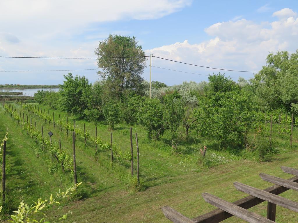 Tenuta Lio Maggiore Lido di Jesolo Buitenkant foto